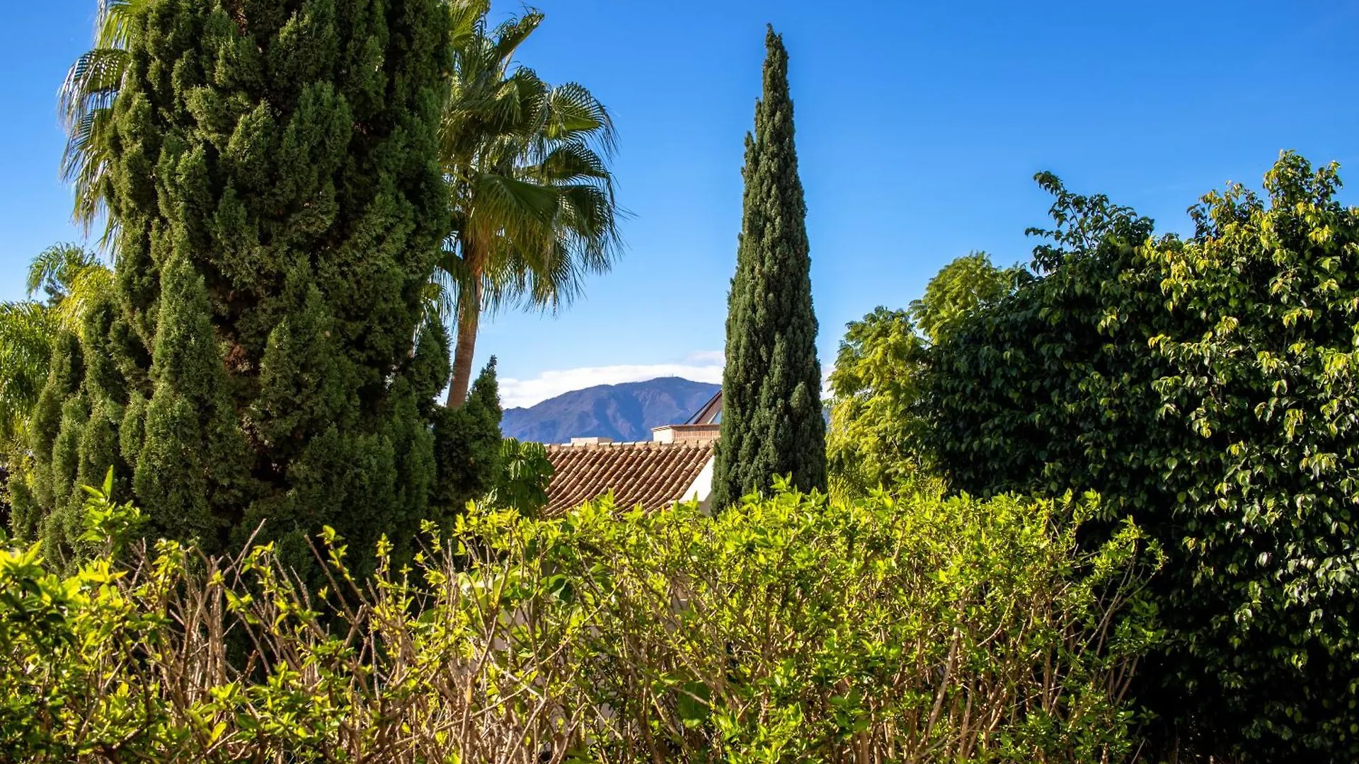 Appartement Bajo Encantador Y Familiar En Benahavis Estepona